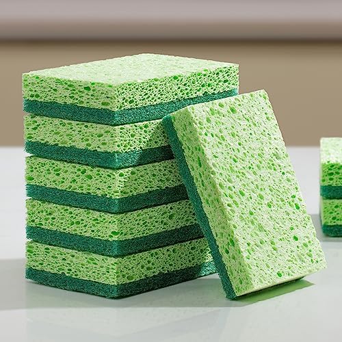 Clean Sponges, Dual-Sided Non-Scratch Soft Scrub Dish Sponge in Green